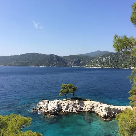 The Music House With Pool *