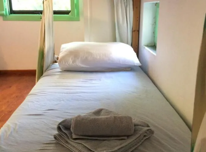 Case de vacanță The Music House With Pool